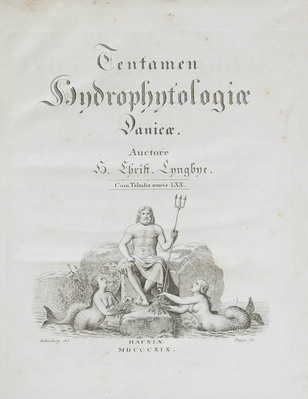 9237
<br/>
Tentamen hydrophytologiae Danicae, continens omnia hydrophyta cryptogama Daniae, Holsatiae, Faeroae, Islandiae, Groenlandiae hucusque cognita, systematice disposita, descripta et iconibus illustrata, adjectis simul speciebus Norvegicis.
<br/>
<em></em>